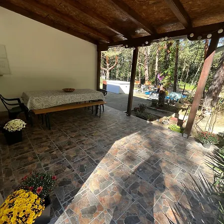 Σπίτι διακοπών Sumska Kuca Juga Kovacevic Bela Crkva (Banat)