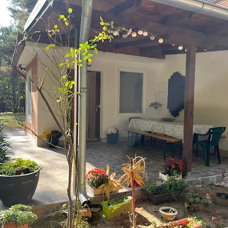 Sumska Kuca Juga Kovacevic Σπίτι διακοπών Bela Crkva (Banat)