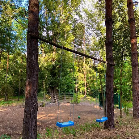 Sumska Kuca Juga Kovacevic *