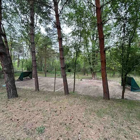 Σπίτι διακοπών Sumska Kuca Juga Kovacevic *