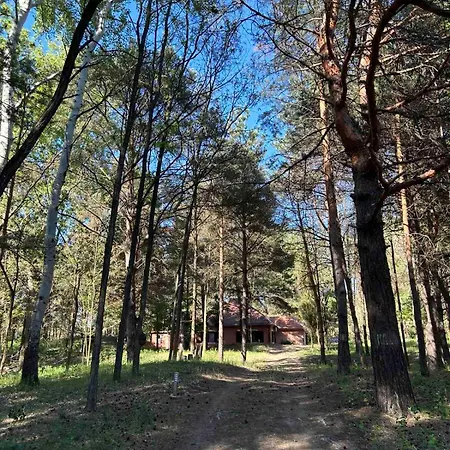 Σπίτι διακοπών Sumska Kuca Juga Kovacevic Bela Crkva (Banat)