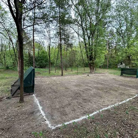 Sumska Kuca Juga Kovacevic Bela Crkva (Banat)