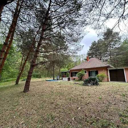 Σπίτι διακοπών Sumska Kuca Juga Kovacevic Bela Crkva (Banat)