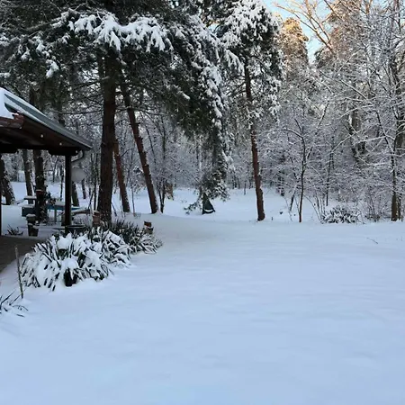 Sumska Kuca Juga Kovacevic Σπίτι διακοπών Bela Crkva (Banat)
