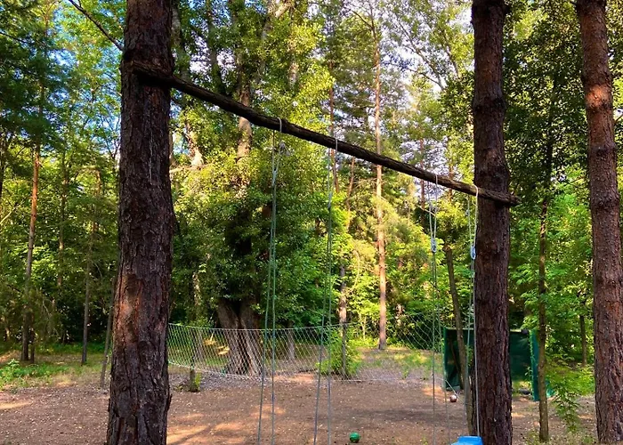 Sumska Kuca Juga Kovacevic *