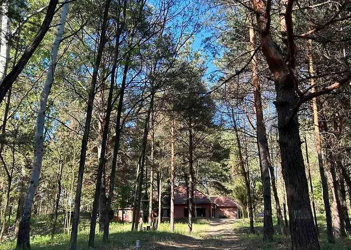 بيت للعطل Sumska Kuca Juga Kovacevic بيلا تسركفا