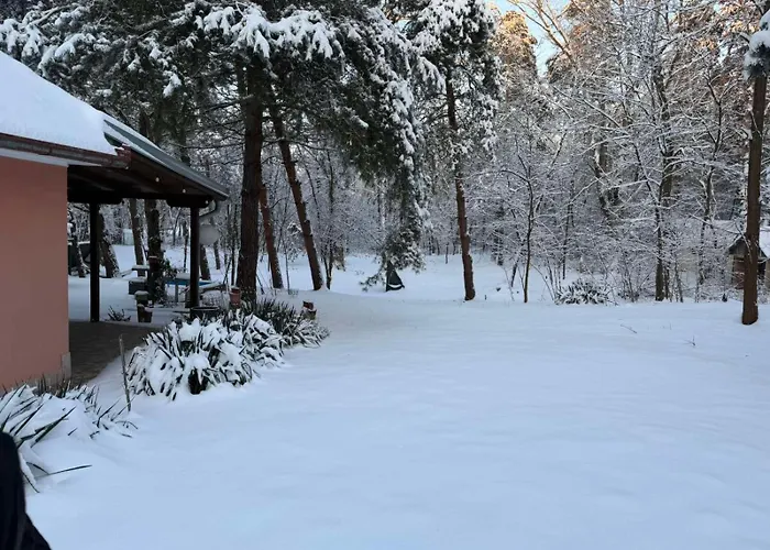 Sumska Kuca Juga Kovacevic بيت للعطل بيلا تسركفا